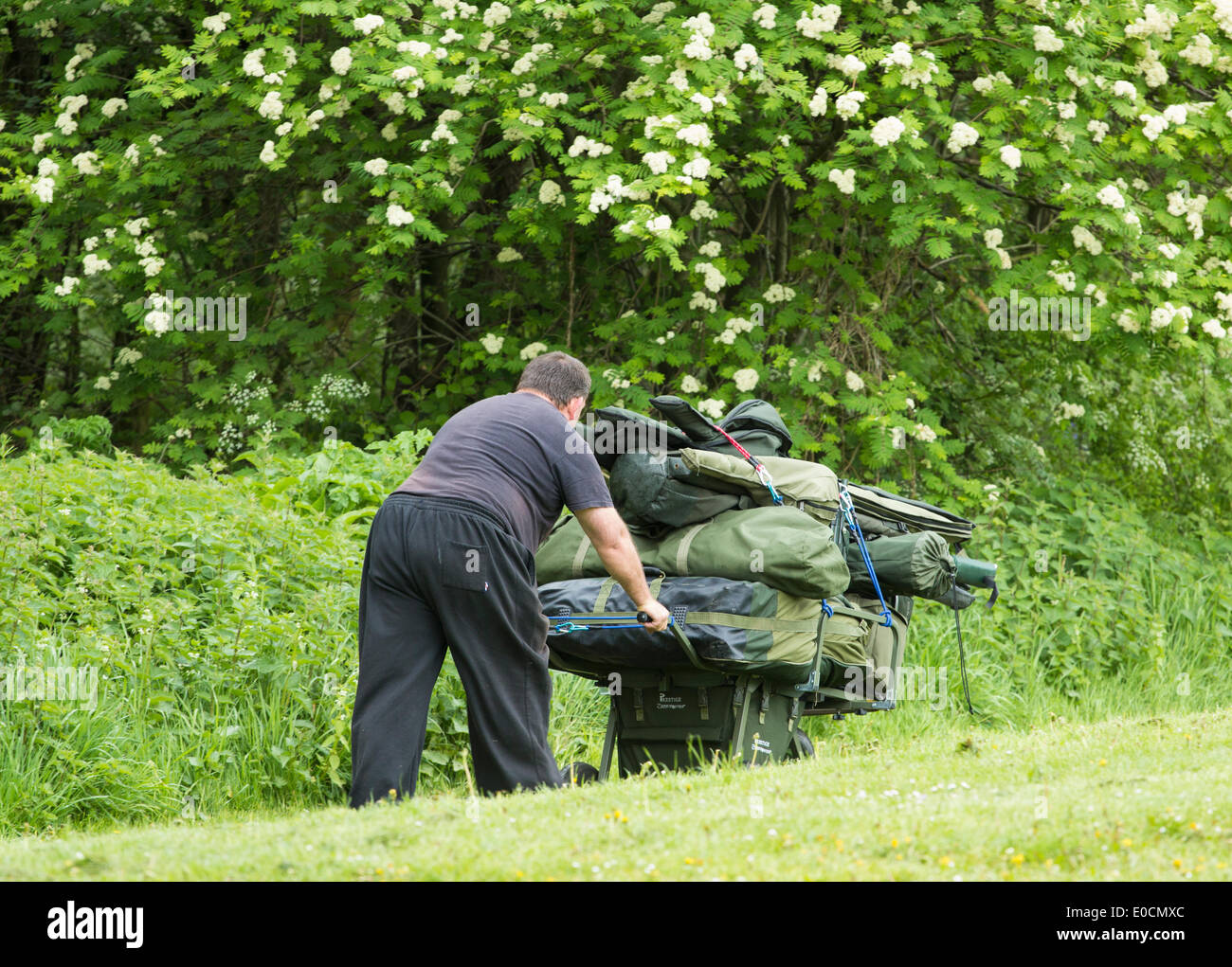 Charlton`s Pond, Billingham, England, UK. 9th May 2014. Gone fishing. Angler wheels his mountain of fishing tackle to the  lakeside from carpark, undetered  by the weekend forecast for blustery and wet weather Credit:  ALANDAWSONPHOTOGRAPHY/Alamy Live News Stock Photo